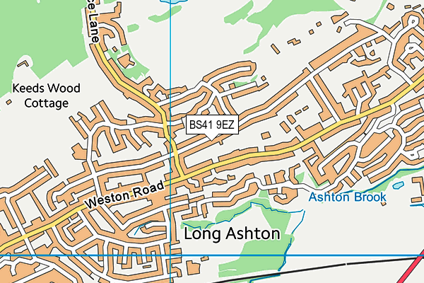 BS41 9EZ map - OS VectorMap District (Ordnance Survey)
