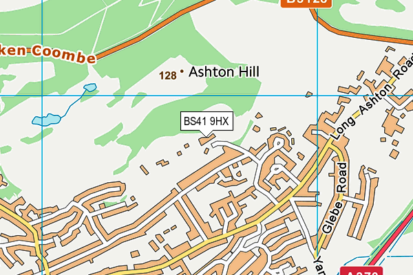 BS41 9HX map - OS VectorMap District (Ordnance Survey)