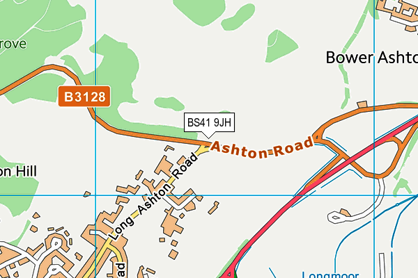 BS41 9JH map - OS VectorMap District (Ordnance Survey)