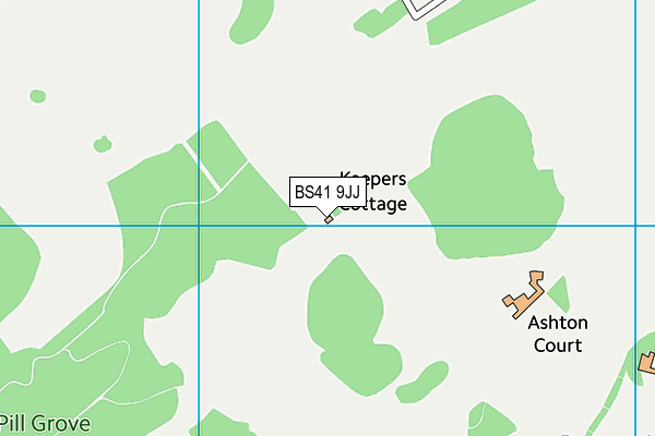 BS41 9JJ map - OS VectorMap District (Ordnance Survey)