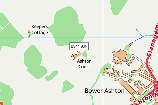 Long Ashton map (BS41 9JN) - OS VectorMap District (Ordnance Survey)