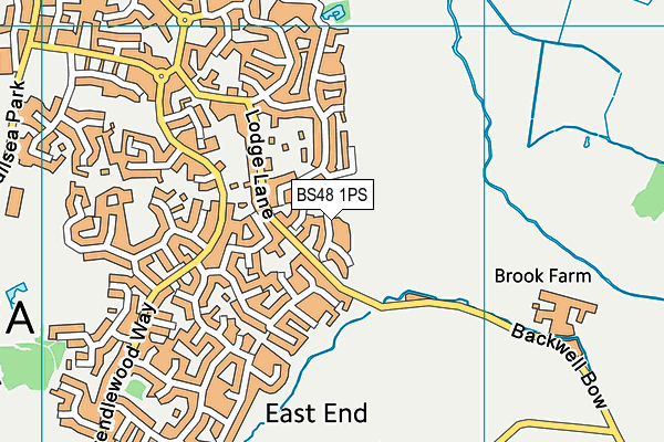 BS48 1PS map - OS VectorMap District (Ordnance Survey)