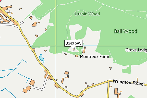 BS49 5AS map - OS VectorMap District (Ordnance Survey)