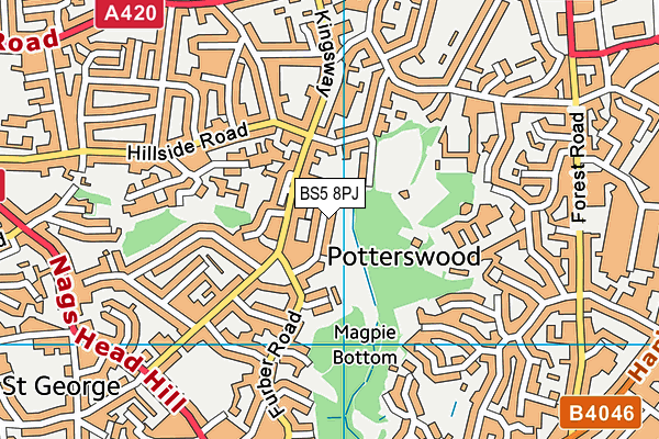 BS5 8PJ map - OS VectorMap District (Ordnance Survey)