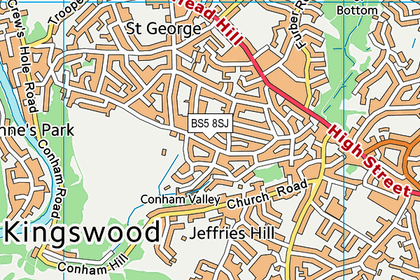 BS5 8SJ map - OS VectorMap District (Ordnance Survey)