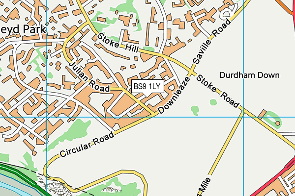 BS9 1LY map - OS VectorMap District (Ordnance Survey)