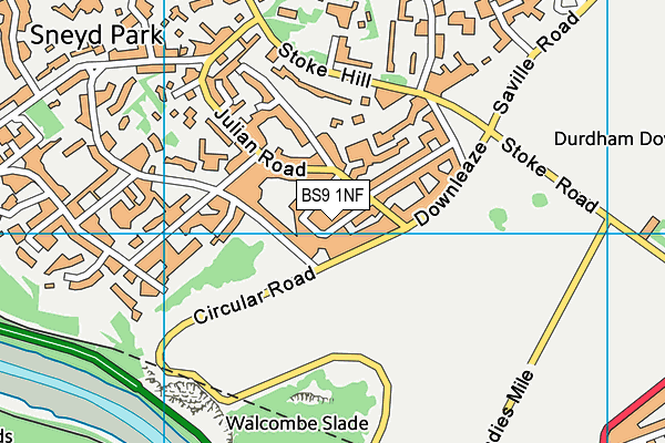 BS9 1NF map - OS VectorMap District (Ordnance Survey)