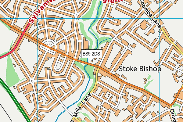 BS9 2DS map - OS VectorMap District (Ordnance Survey)