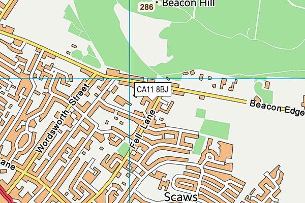 CA11 8BJ map - OS VectorMap District (Ordnance Survey)