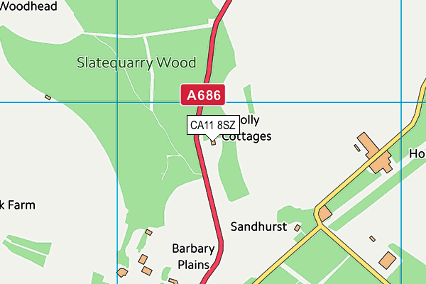 CA11 8SZ map - OS VectorMap District (Ordnance Survey)