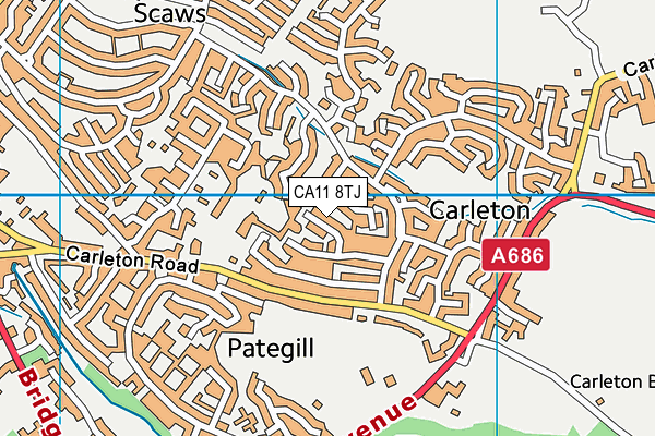 CA11 8TJ map - OS VectorMap District (Ordnance Survey)