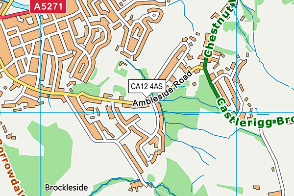 CA12 4AS map - OS VectorMap District (Ordnance Survey)