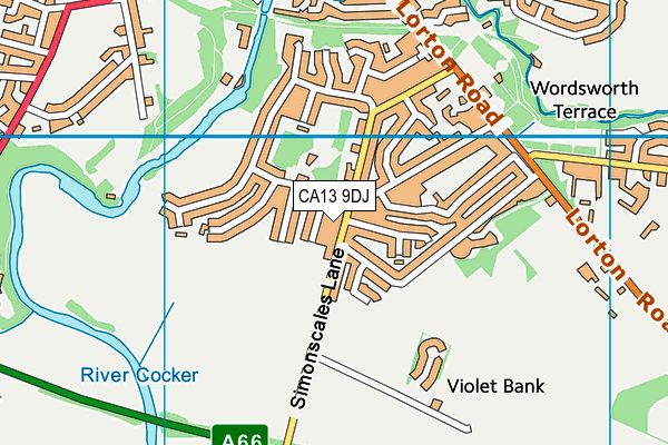 CA13 9DJ map - OS VectorMap District (Ordnance Survey)