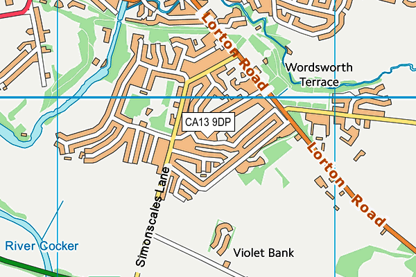 CA13 9DP map - OS VectorMap District (Ordnance Survey)