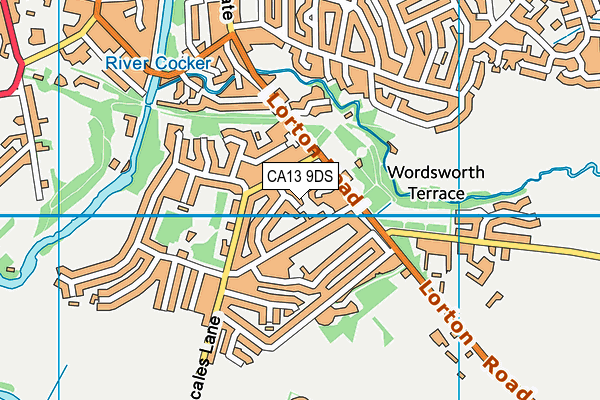 CA13 9DS map - OS VectorMap District (Ordnance Survey)