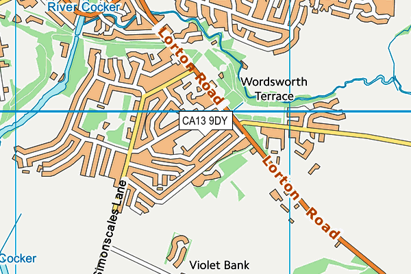 CA13 9DY map - OS VectorMap District (Ordnance Survey)