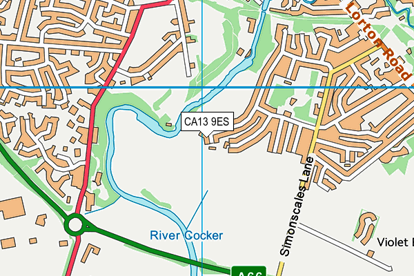 CA13 9ES map - OS VectorMap District (Ordnance Survey)