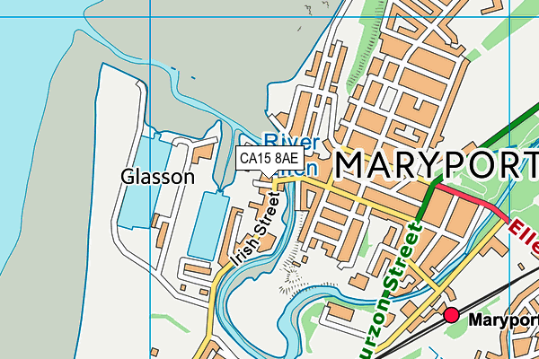 CA15 8AE map - OS VectorMap District (Ordnance Survey)