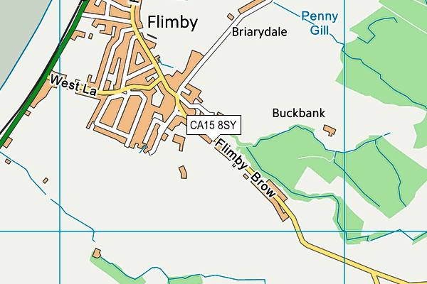 CA15 8SY map - OS VectorMap District (Ordnance Survey)