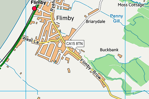 CA15 8TN map - OS VectorMap District (Ordnance Survey)