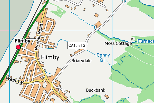 CA15 8TS map - OS VectorMap District (Ordnance Survey)