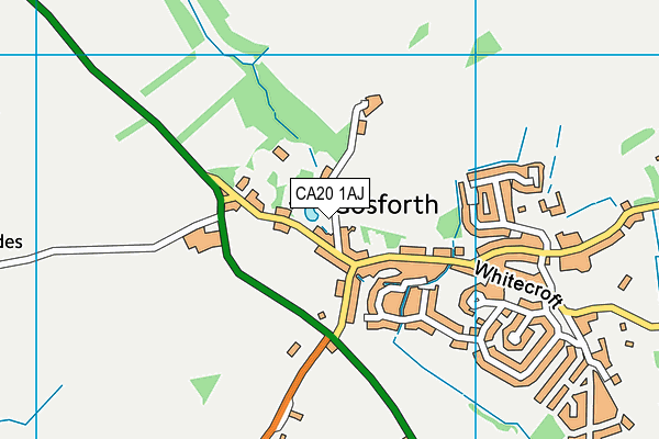 CA20 1AJ map - OS VectorMap District (Ordnance Survey)