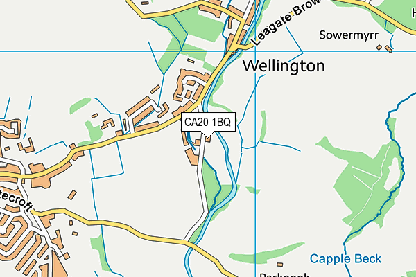 CA20 1BQ map - OS VectorMap District (Ordnance Survey)