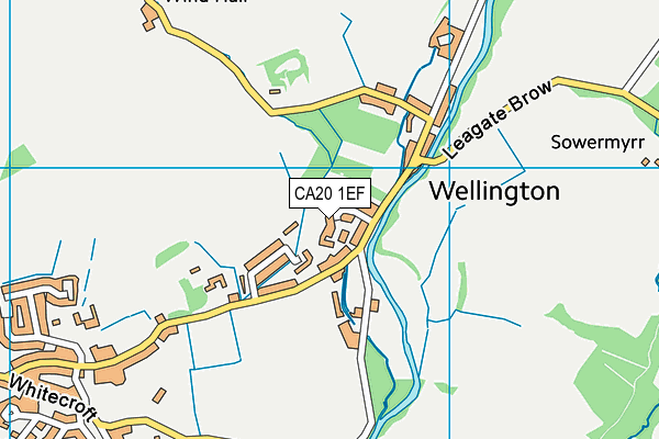 CA20 1EF map - OS VectorMap District (Ordnance Survey)