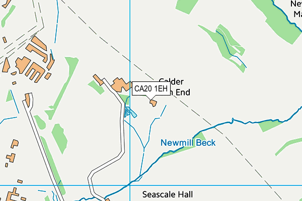 CA20 1EH map - OS VectorMap District (Ordnance Survey)