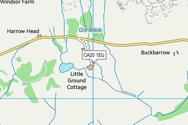 CA20 1EU map - OS VectorMap District (Ordnance Survey)