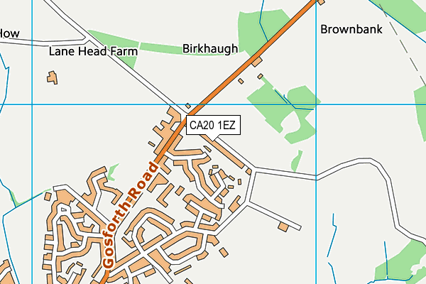 CA20 1EZ map - OS VectorMap District (Ordnance Survey)