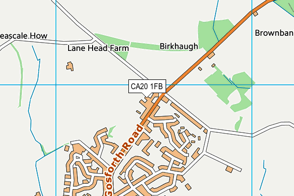 CA20 1FB map - OS VectorMap District (Ordnance Survey)