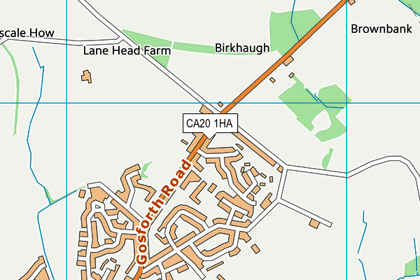 CA20 1HA map - OS VectorMap District (Ordnance Survey)