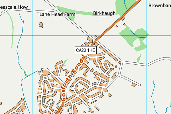 CA20 1HE map - OS VectorMap District (Ordnance Survey)