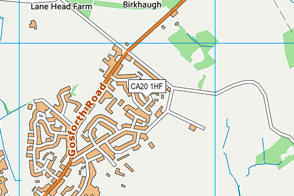 CA20 1HF map - OS VectorMap District (Ordnance Survey)