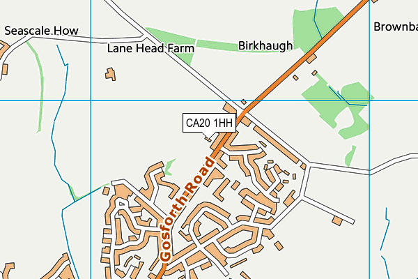 CA20 1HH map - OS VectorMap District (Ordnance Survey)