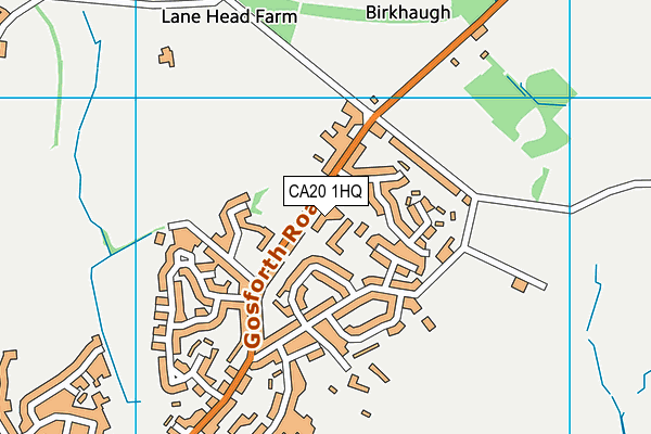 CA20 1HQ map - OS VectorMap District (Ordnance Survey)