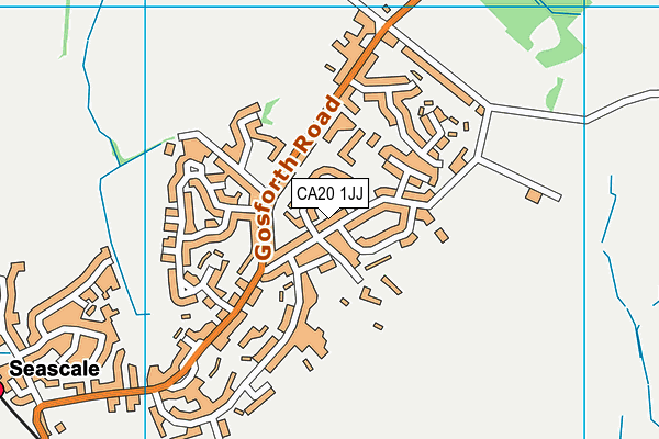 CA20 1JJ map - OS VectorMap District (Ordnance Survey)