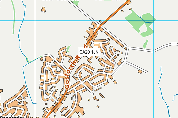 CA20 1JN map - OS VectorMap District (Ordnance Survey)