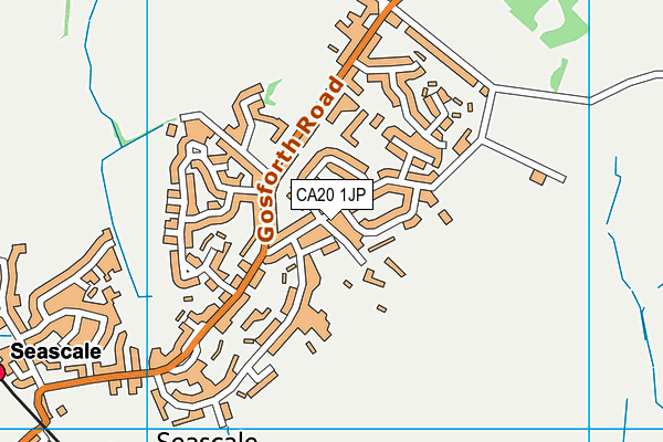 CA20 1JP map - OS VectorMap District (Ordnance Survey)