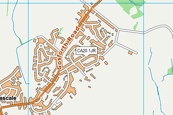 CA20 1JR map - OS VectorMap District (Ordnance Survey)