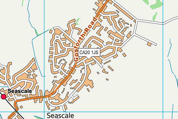 CA20 1JS map - OS VectorMap District (Ordnance Survey)