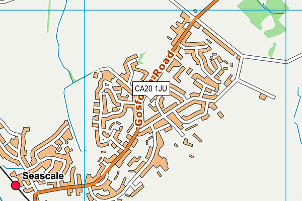 CA20 1JU map - OS VectorMap District (Ordnance Survey)