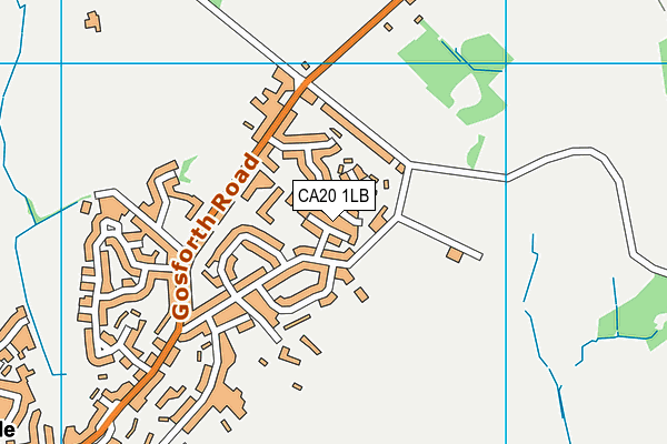 CA20 1LB map - OS VectorMap District (Ordnance Survey)