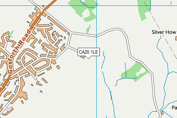 CA20 1LE map - OS VectorMap District (Ordnance Survey)