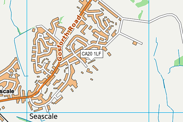 CA20 1LF map - OS VectorMap District (Ordnance Survey)