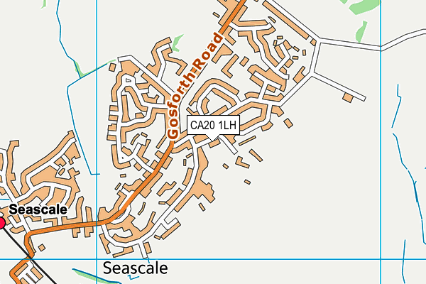 CA20 1LH map - OS VectorMap District (Ordnance Survey)