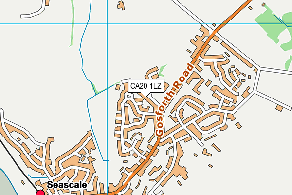 CA20 1LZ map - OS VectorMap District (Ordnance Survey)