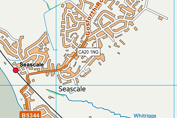 CA20 1NG map - OS VectorMap District (Ordnance Survey)