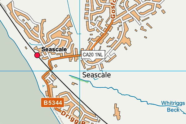 CA20 1NL map - OS VectorMap District (Ordnance Survey)